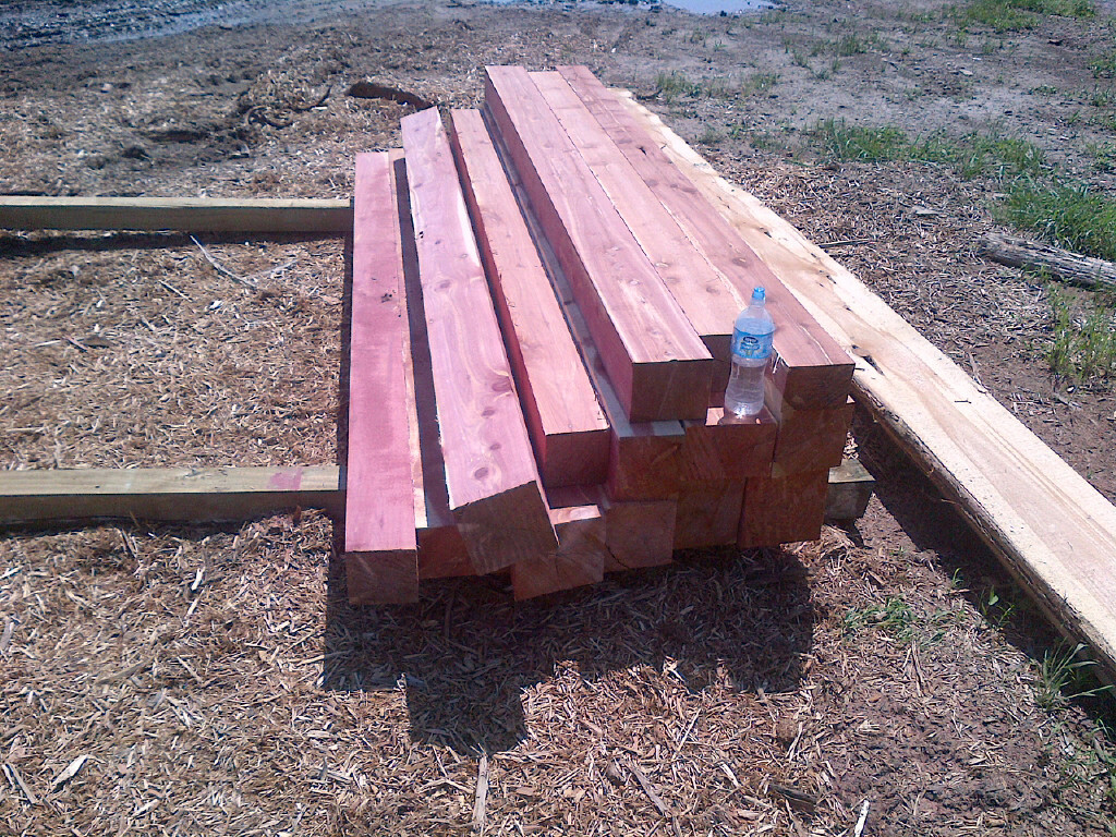 本公司现有大量南方红桧木销售