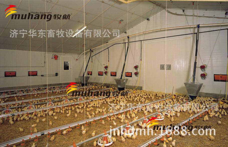 肉鸡料线 养鸡自动喂料 肉鸡自动喂料 鸡用料线 济宁牧航养殖设备