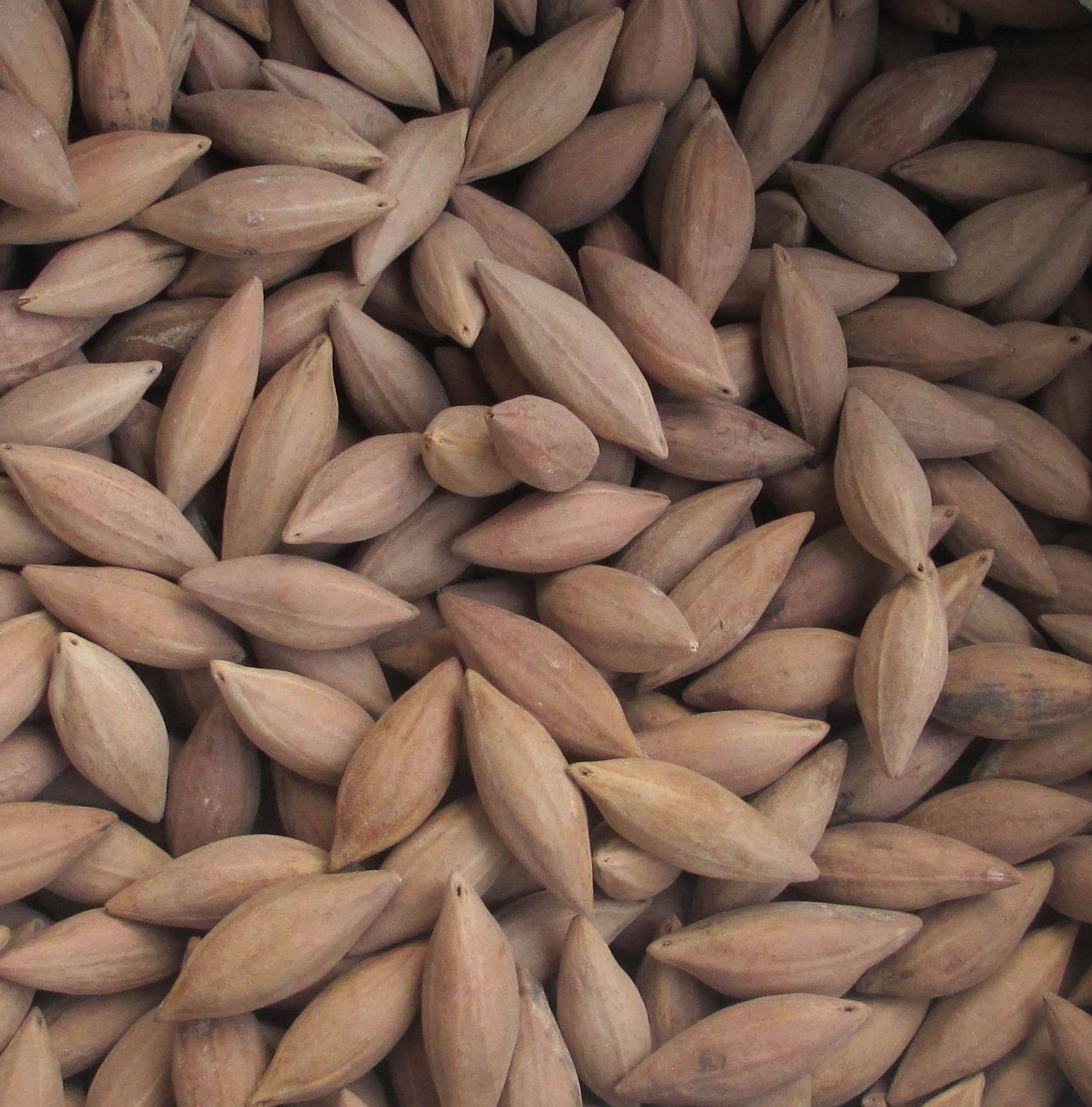 批发橄榄核雕原料红肉圆润十八罗汉观音料 原产地直销2件起批