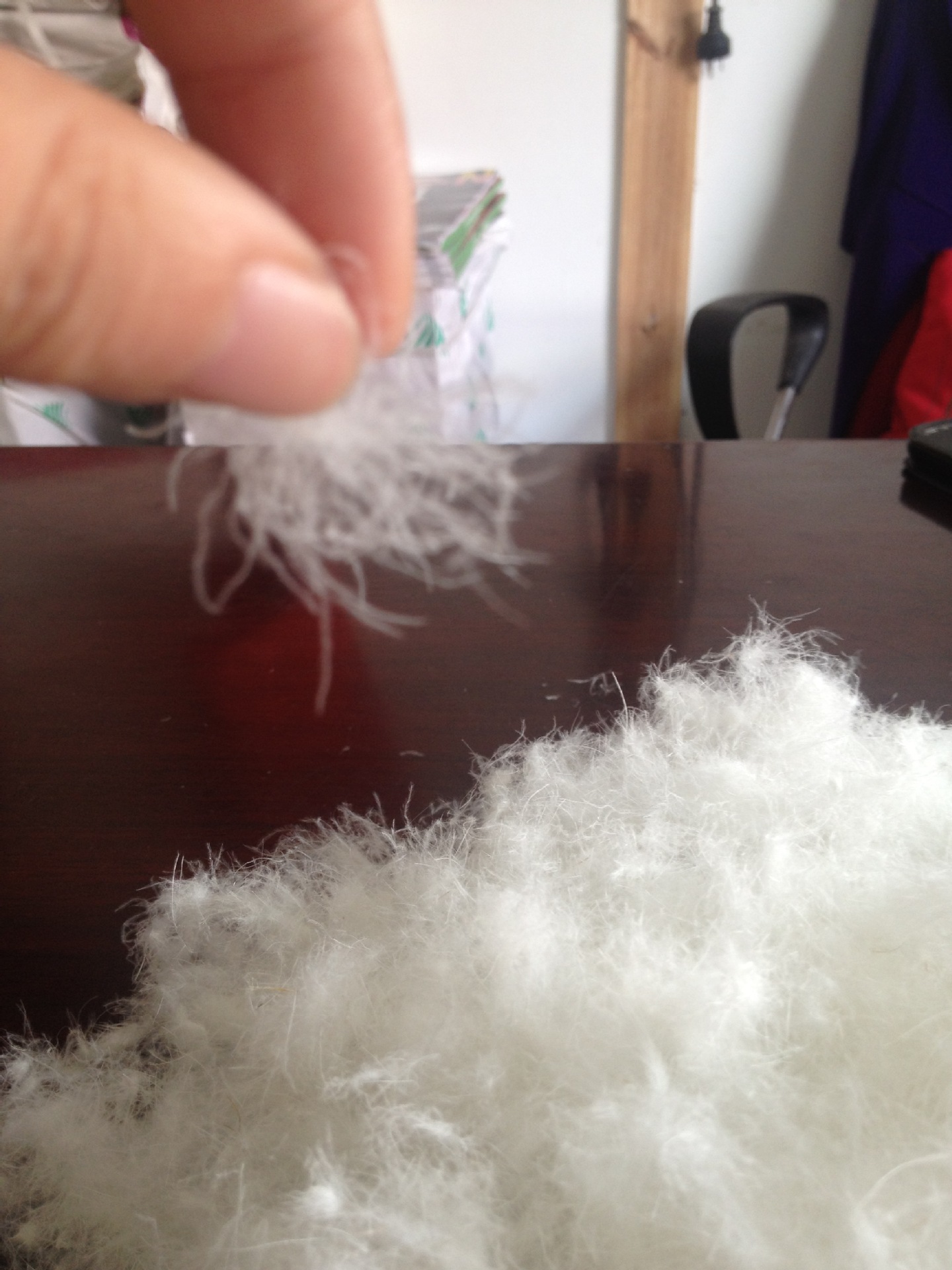 羽绒 白鸭绒 大朵绒图片_5