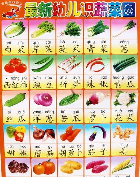 宝宝认知早教挂图 幼儿童识字挂图 婴儿平面挂图启蒙批发 0-3岁