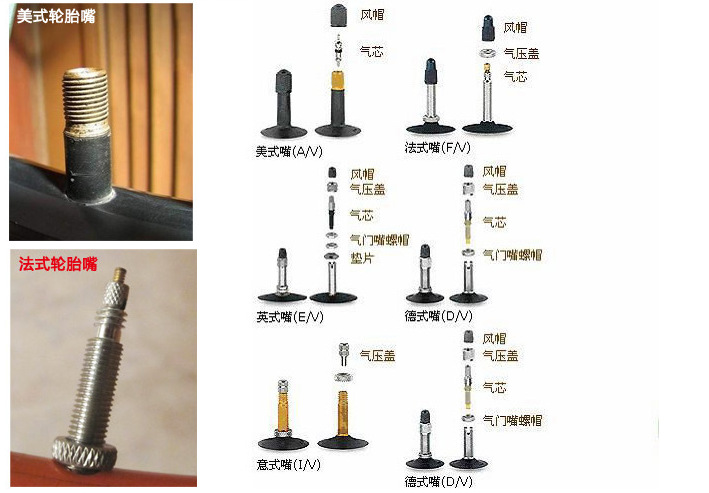 内胎的气嘴是要配合车圈来选择,首先根据车圈气孔大小来决定您用的是