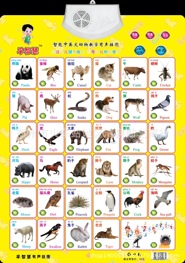 早智慧品牌 益智 凹凸 早教 语音 发音 有声挂图