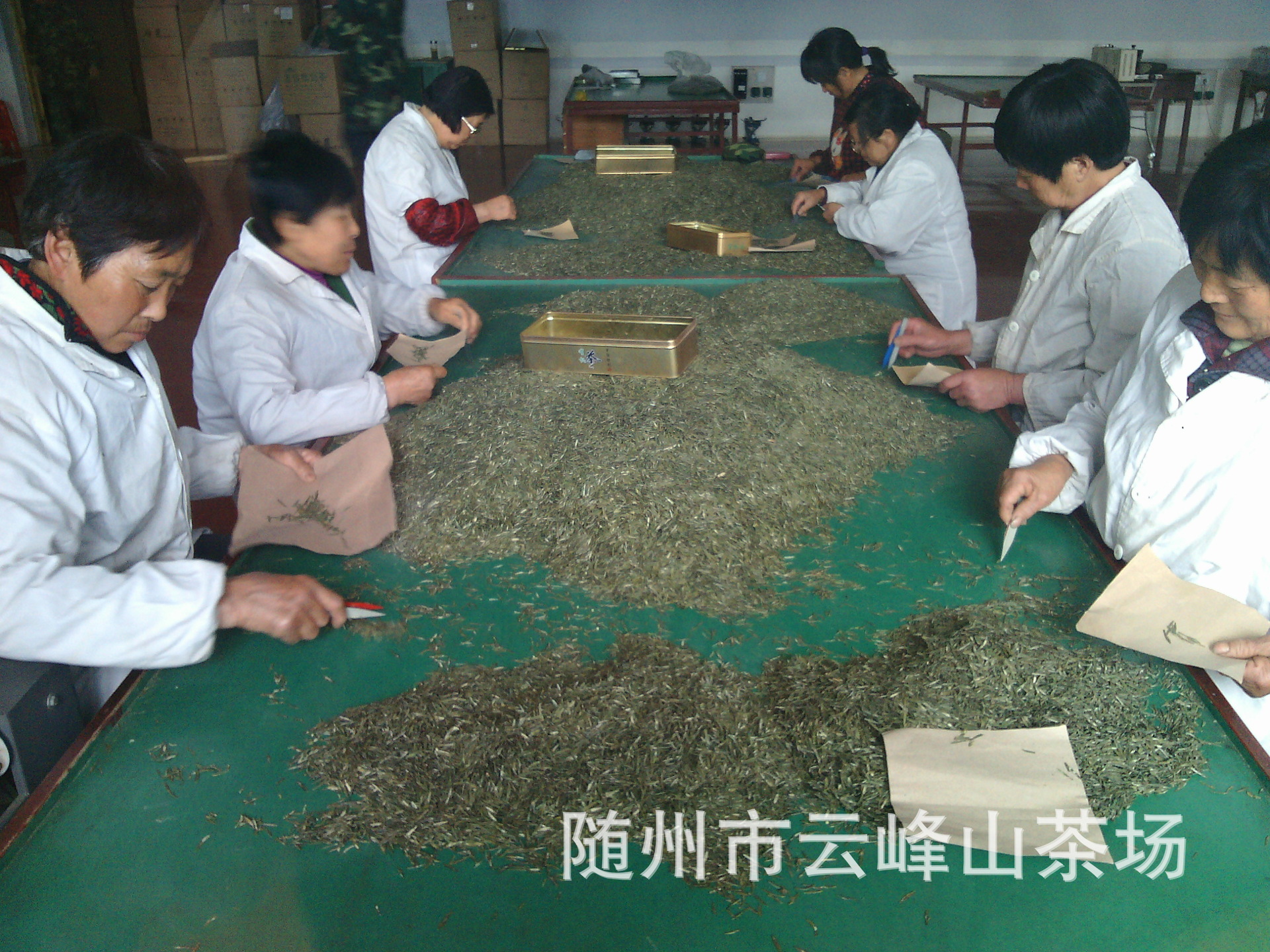 IMG20140401134256
