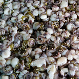 冷冻秘鲁鱿鱼吸盘 大鱿鱼吸盘 鱿鱼 鱿鱼牙 冷冻海产 水产品