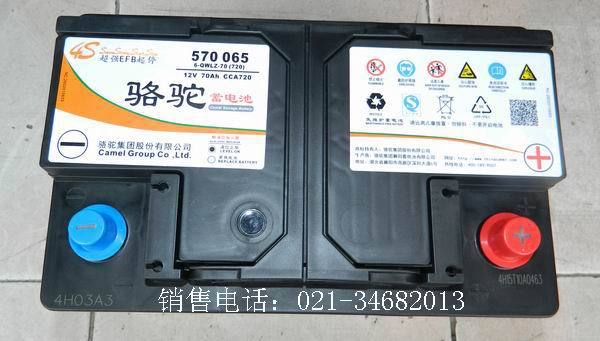 駱駝免維護電瓶570065(6-qwlz-70)12v70ah鉛酸蓄電池電瓶供應商