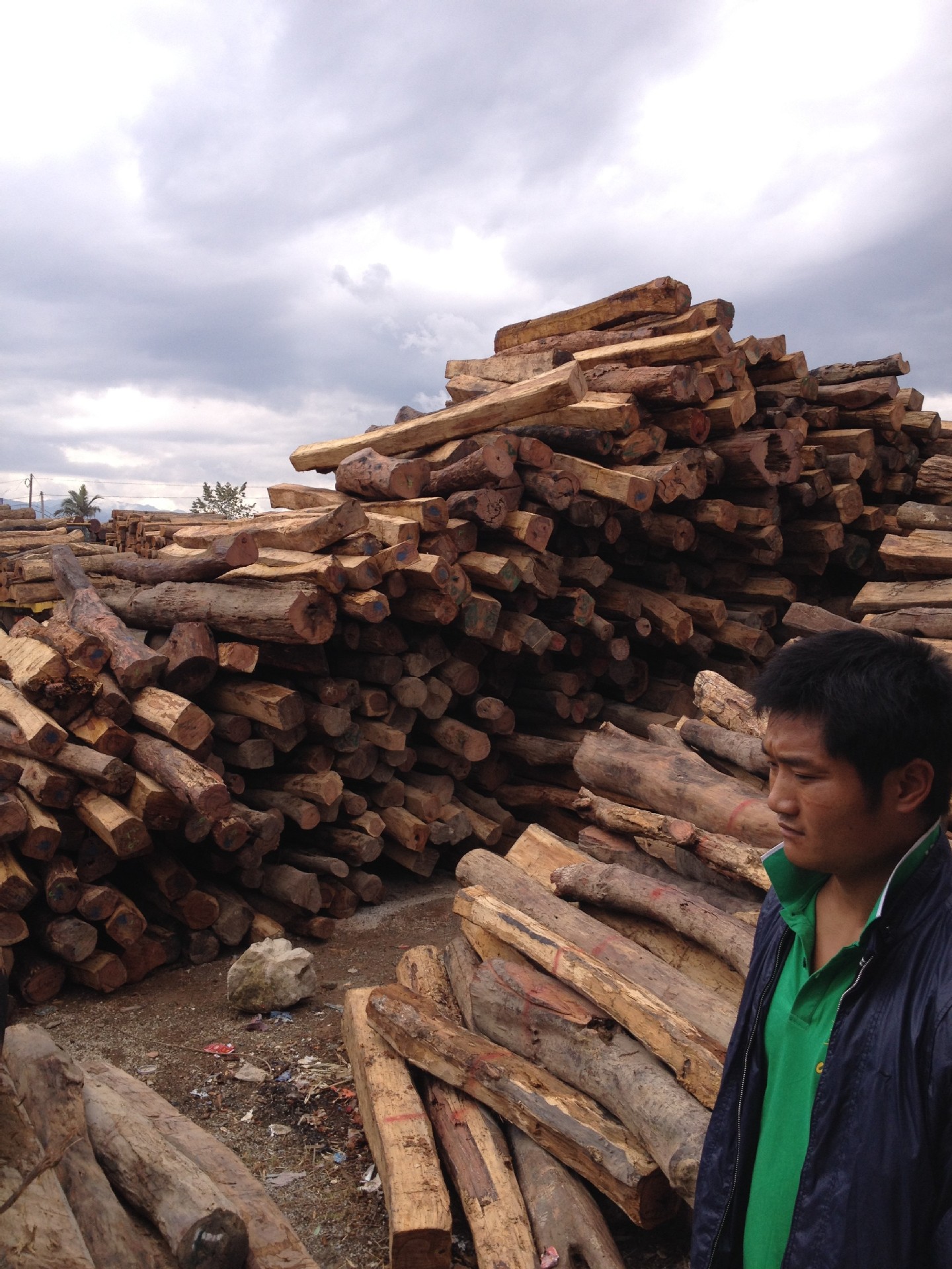 缅甸红木酸枝木 红花梨木材原木 批发