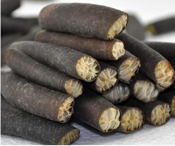 南极海茸海茸 冰藻 冰翅天然深海海笋整箱批发