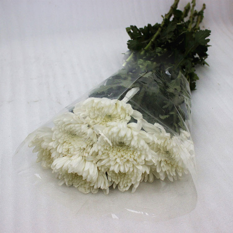 黄菊鲜切花白菊鲜花批发清明节祭奠必备鲜花一扎10只起批