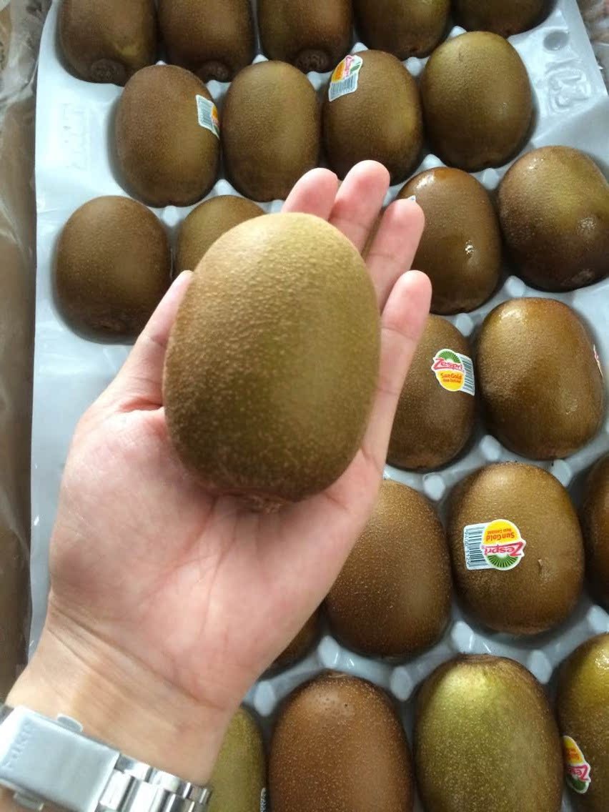 佳沛新西兰奇异果进口猕猴桃金果新鲜水果批发