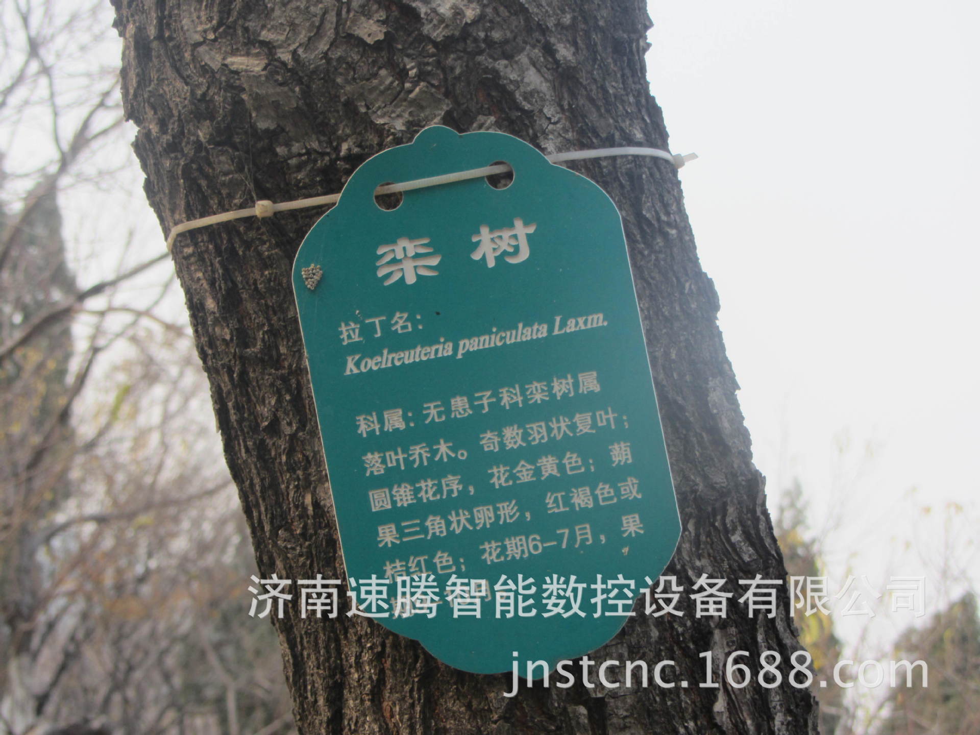 直销数控电脑雕刻机 石家庄镂空隔断雕刻机 销量 雕刻机