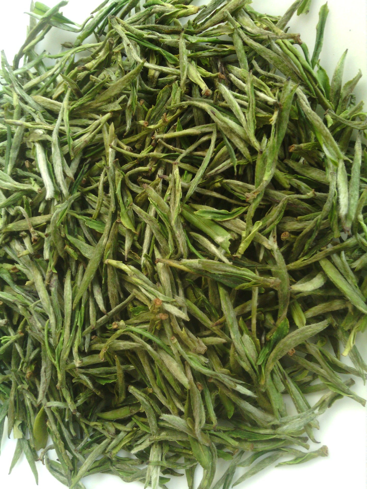 白沙绿茶碧芽,白沙绿茶春芽(第14页)_大山谷图库