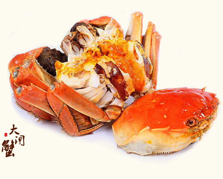 包邮 现货 鲜活母蟹 螃蟹 洪泽湖红膏大闸蟹 雌蟹1.9两 公蟹2.9两