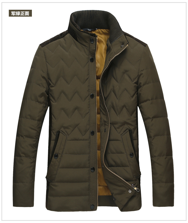 正品迪莱王子羽绒服男士立领纯色合体羽绒袄中青年爸爸服外套1850