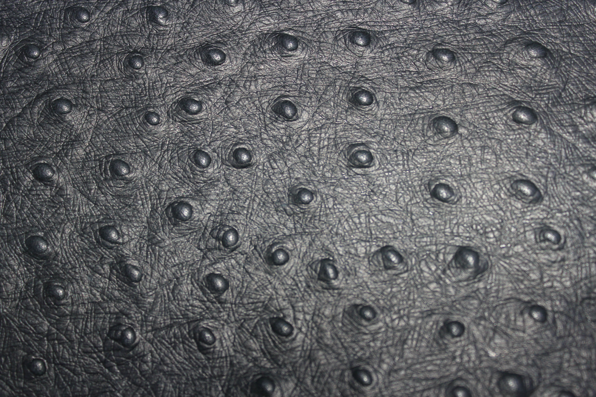 【新品上市】可订货高品质牛皮革 压花鸵鸟纹头层 优质皮革批发