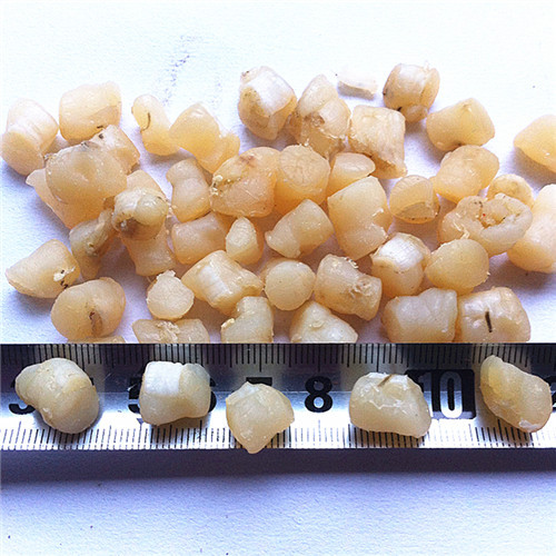 海产品干货 海鲜干货福建特产 干贝 熬粥煮汤 瑶柱干贝小元贝混批