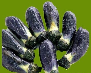 供应速冻茄子,规格全,种类多,速冻蔬菜