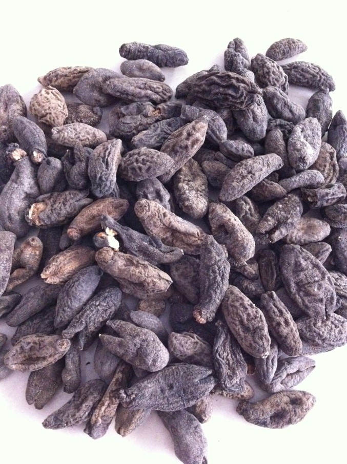 乌元/乌元参 海参 进口海参 玉席专用 口味鲜美