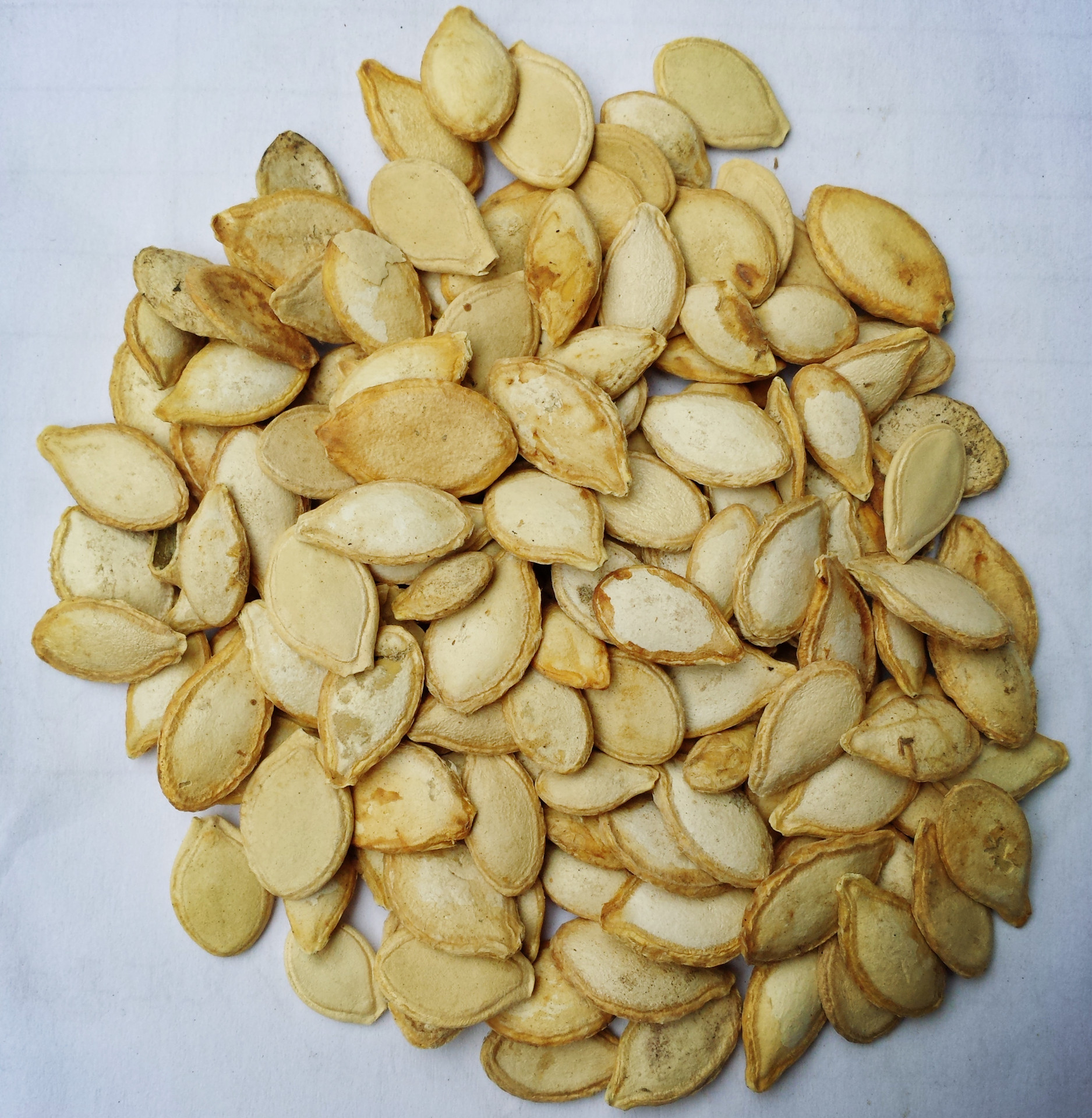 纯天然中药材 南瓜子 南瓜籽 驱虫消肿 优惠特价中 批发零售