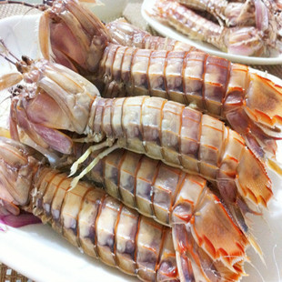 大量供应渤海湾皮皮虾 爬虾|虾虎|琵琶虾|虾爬子 黄骅厂家特供