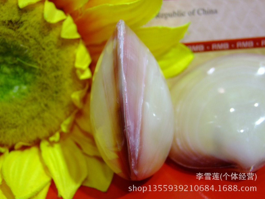 直径67厘米粉蛤双面情侣贝壳海螺地摊货源地中海家居装饰