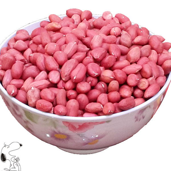 南京阿叮食品 红皮花生米真空包装320g 五谷杂粮真空代加工批发