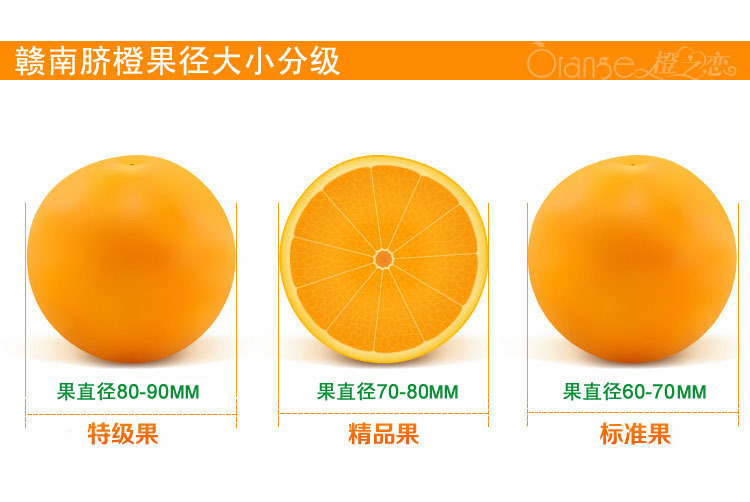 脐橙规格大小图片图片
