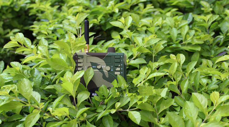 批发无线鸟煤扩音器 鸟媒机 无线电媒 1千米遥控 竹鸡电煤扩音器