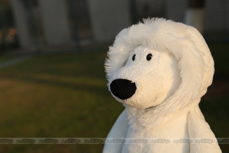 德国nici 情侣北极熊 围巾熊带帽熊情侣款 特价直销价 低价特卖