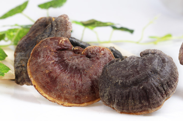 云南昆明云南名贵中药材 纯正野生黑灵芝 赤灵芝 灵芝片优价批发价格