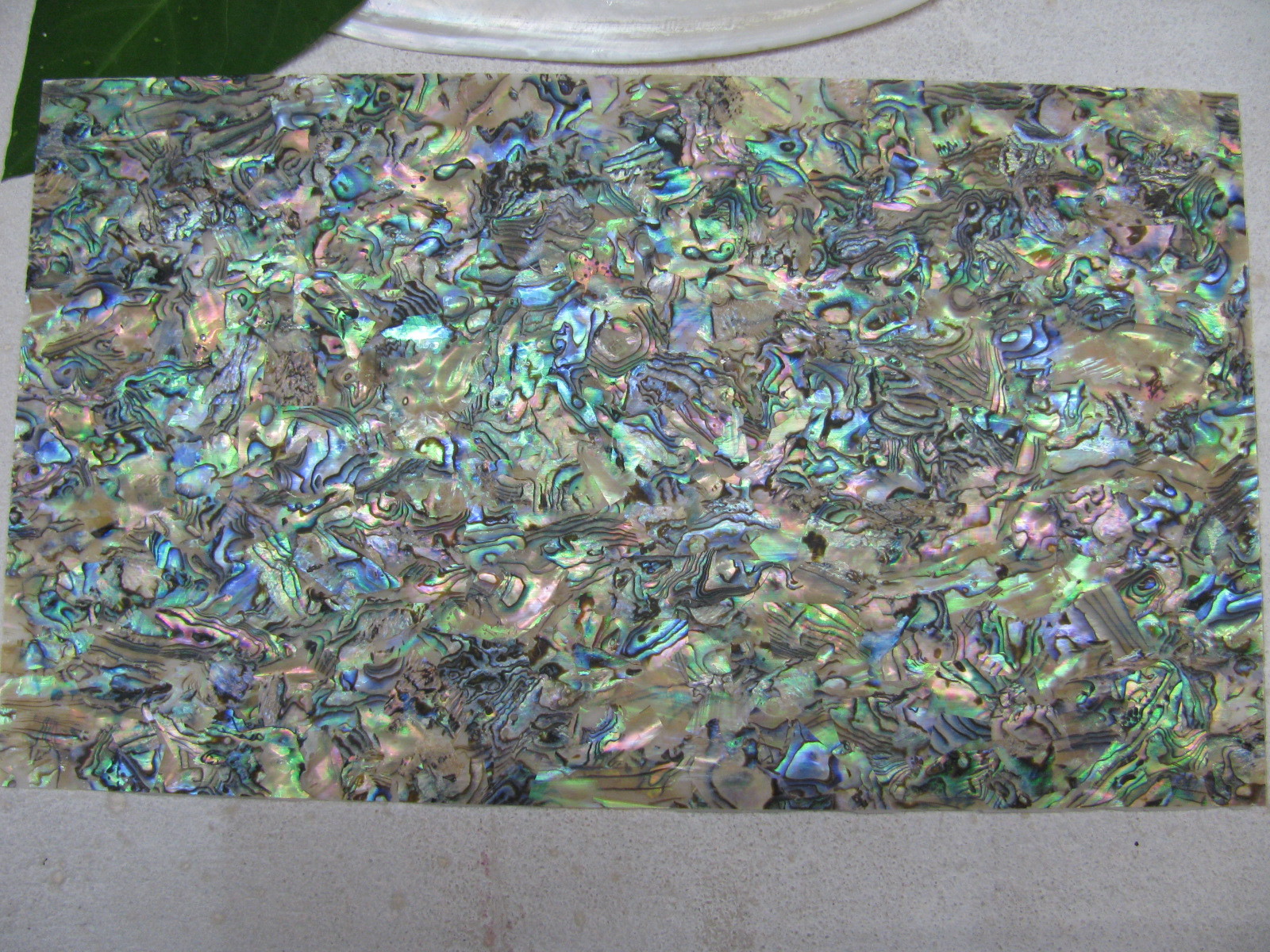 &nbsp; 产品介绍 产品信息 名称: 天然鲍鱼贝壳纸 等级: 碎拼 货号: &