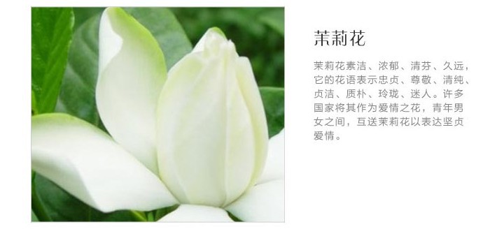 材质: 塑料 产地: 广东广州 加工定制: 否 类型: 固体型 香型: 水蜜桃