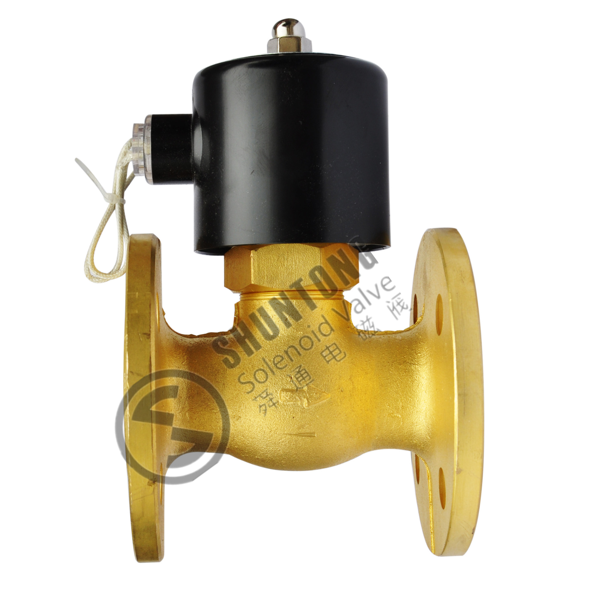 厂家直销2l-15先导式活塞220v蒸汽4分电磁阀