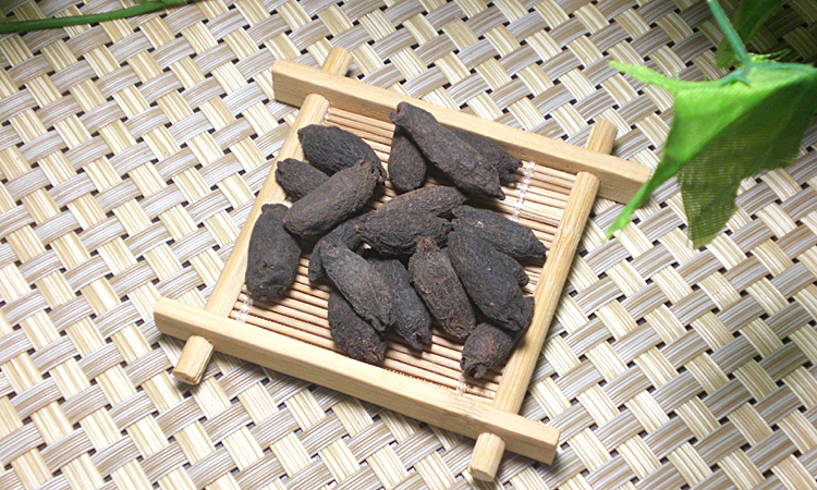  上一个 下一个> 举报 名称:母丁香 别名:鸡舌香,雌丁香 药用部位