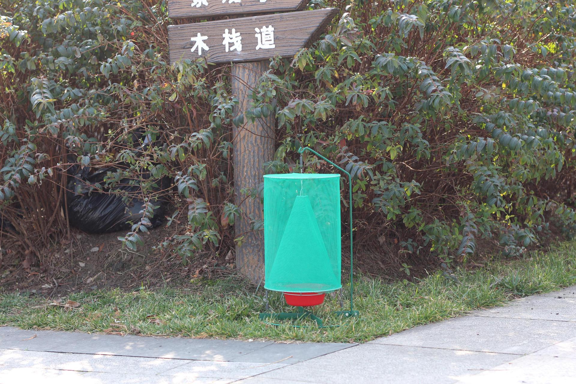 新型捕蝇大王吉越环保高效捕蝇器灭蝇器 可拆卸式捕蝇笼灭苍蝇笼图片