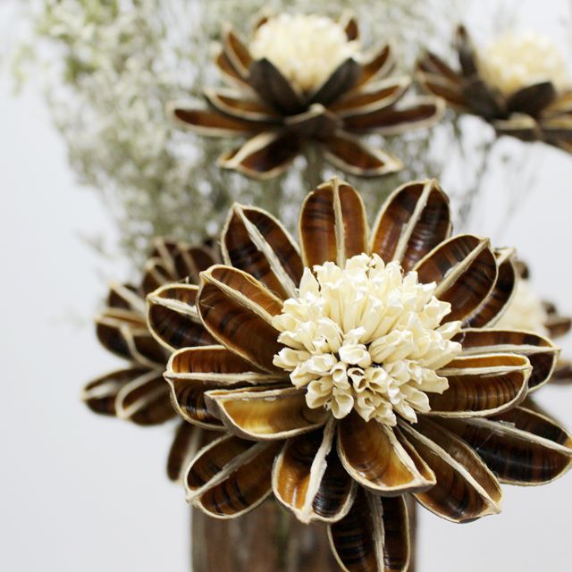 帝王花 装饰天然植物干花干果壳手工特制