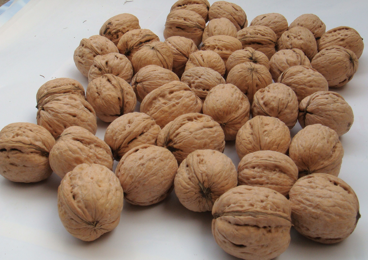 太行山优质薄皮核桃-1000克礼盒装