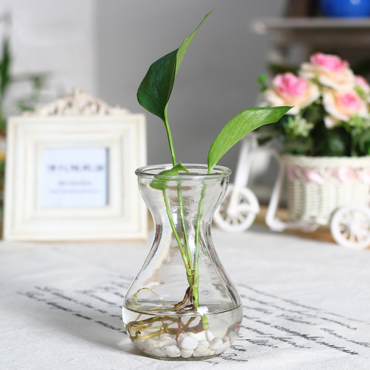 批发订制风信子水培玻璃花瓶绿萝水仙玻璃瓶新款水中花玻璃瓶