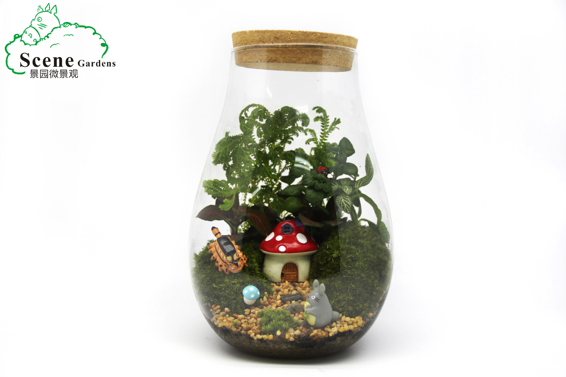 苔藓制作容器 diy玻璃瓶 微景观生态瓶 水滴花瓶 木塞植物专用