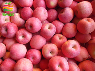 方圆果蔬公司果色甜香山东栖霞红富士苹果80#一级果,鲜苹果批发