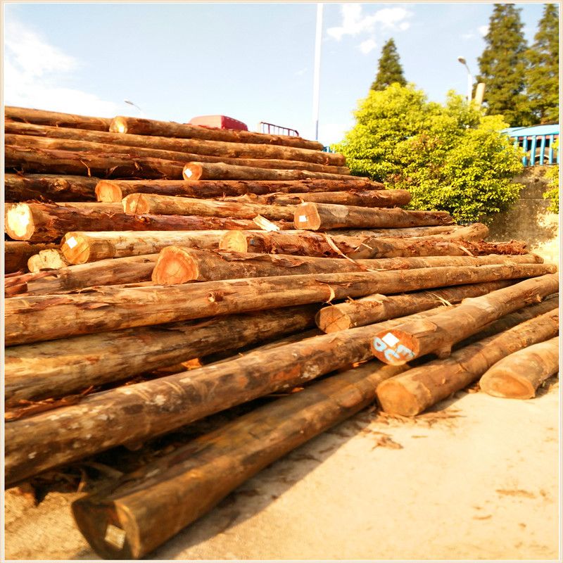 国外新到优质剥皮桉原木张家港大量批发精品柱子材桉木