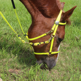 廠家直銷馬術馬具用品 馬韁繩 運動馬籠頭 牽馬繩批發