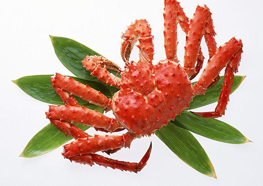 海产品批发供应 俄罗斯进口帝王蟹 野生鲜活帝皇蟹 深海螃蟹类