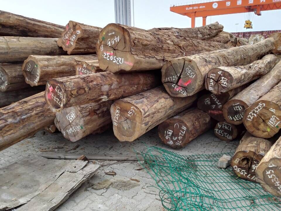 【铁木豆】供应南美优质进口酸枝原木黑铁木豆 进口木材批发