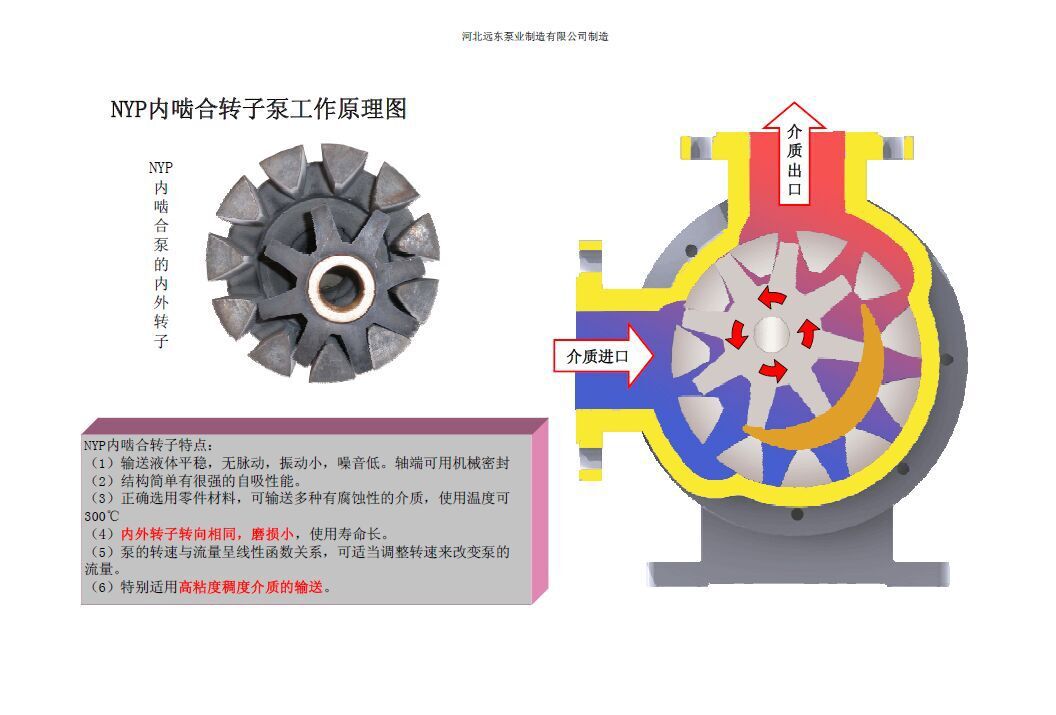 转子泵的工作原理图片