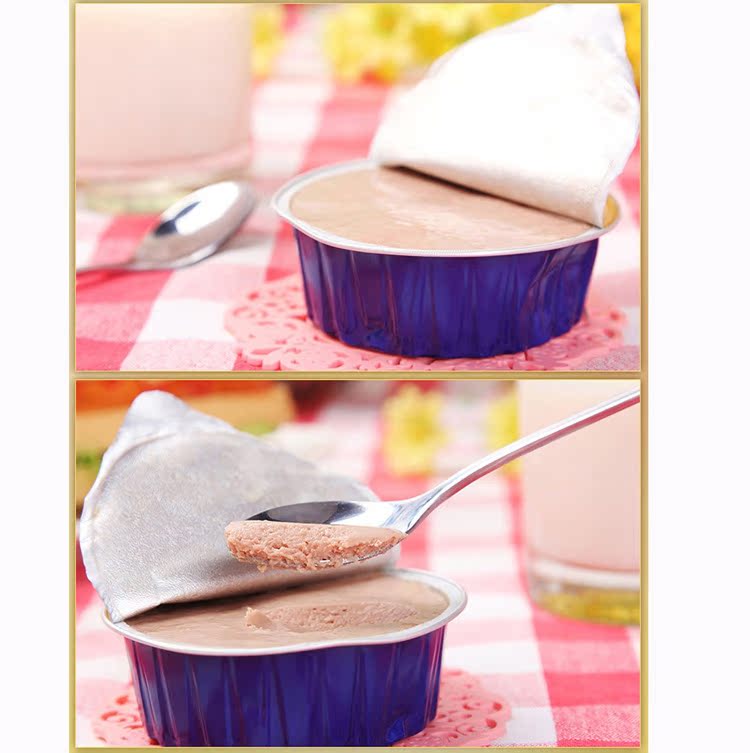 原装进口休闲食品批发 热销匈牙利赛格德肥鹅肝酱调味酱100g*20个