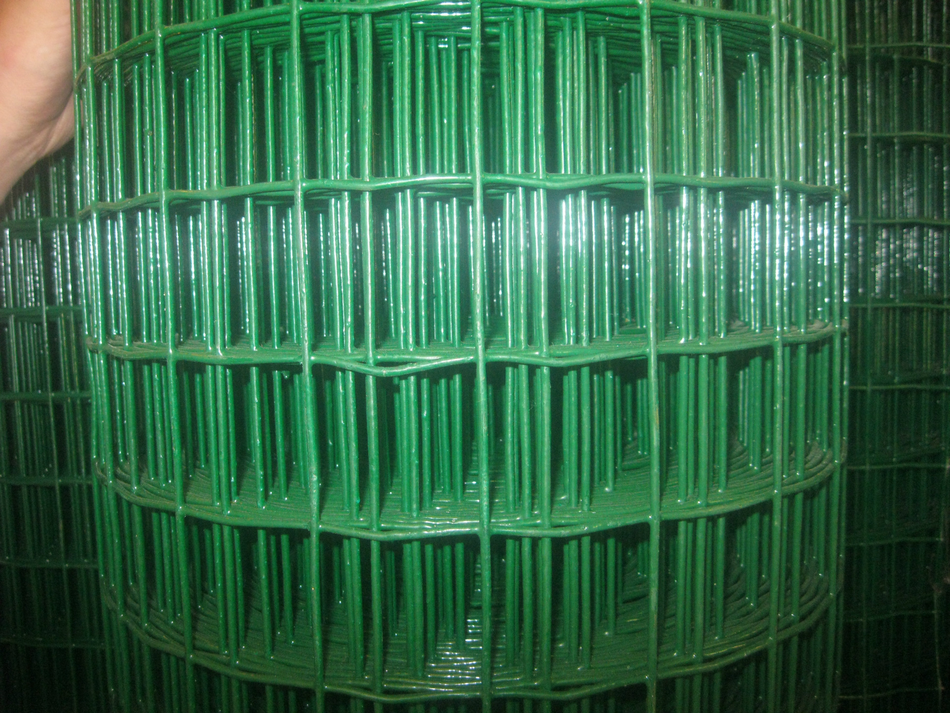 5米,6x6孔绿色浸塑荷兰网