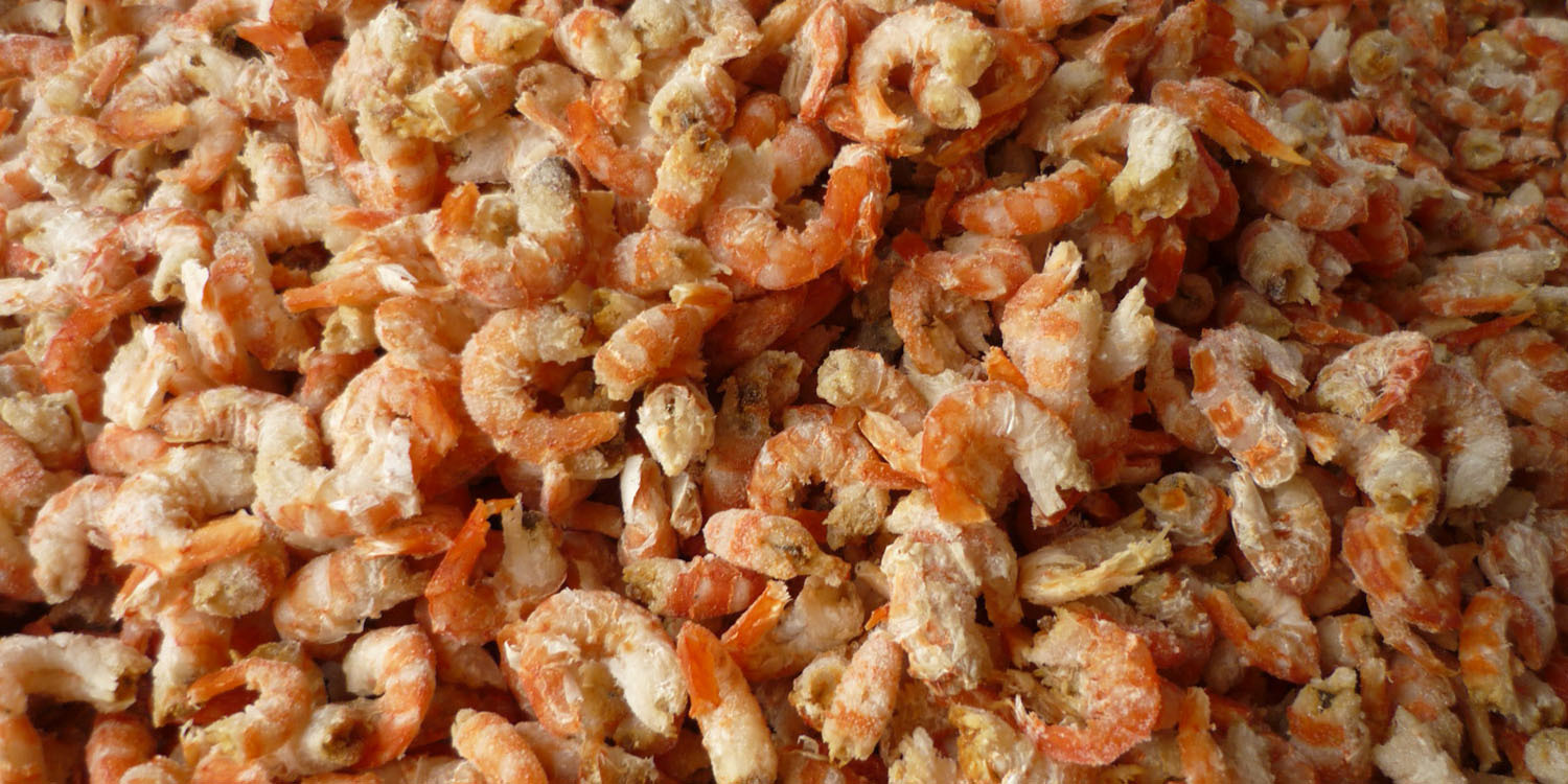 青岛海产品 野生大虾米 海米 蛎虾米 海鲜干货厂家直销250克