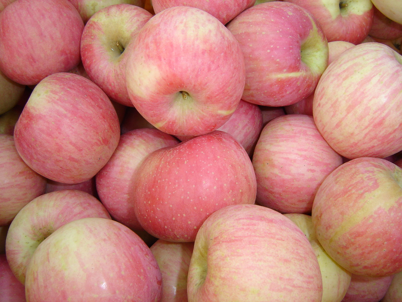 莱芜市万鑫经贸有限公司 - 阿里巴巴