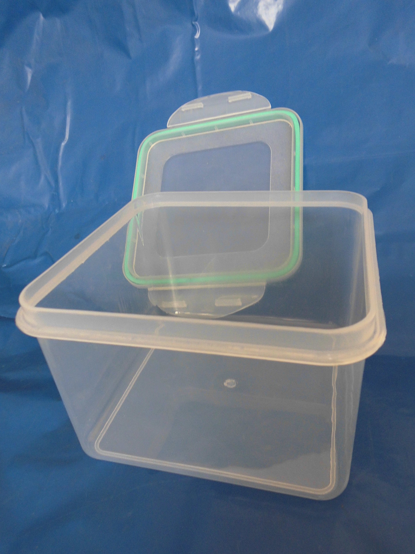 沧州塑料盒|厂家供应一级料塑料盒1000g|透明微波炉塑料盒